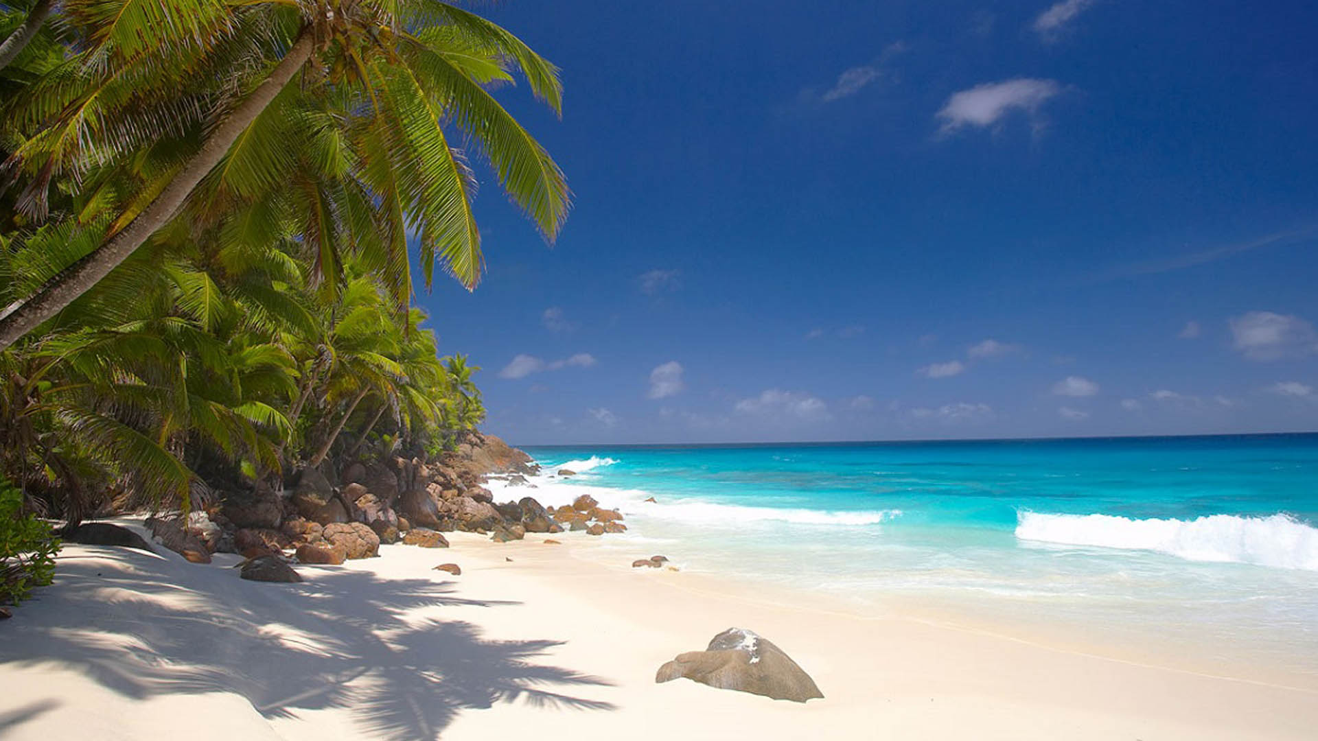 Dive Resort Seychelles About us